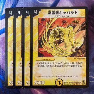 Pilgrim Cavalt R 18/90/Y6