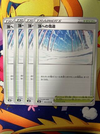 Snow Road to the Top U 069/070