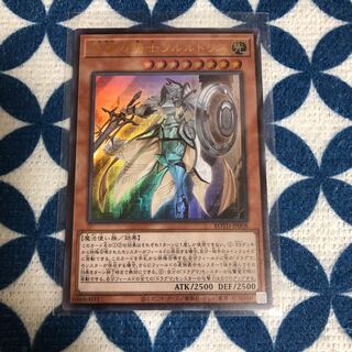 教導の騎士フルルドリス