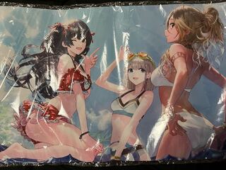 Play Mat Shanimas Asahi Serizawa Yuko Mayuzumi Mei Izumi Stray Light