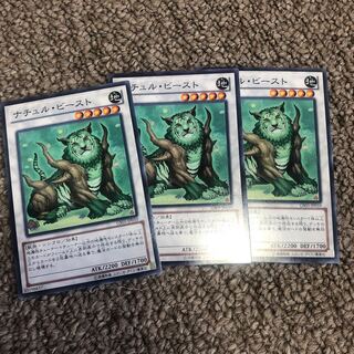 ナチュル・ビースト ノーマル JP010 1枚