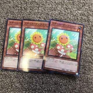 Naturia Sunflower parallel normal JP060 1枚