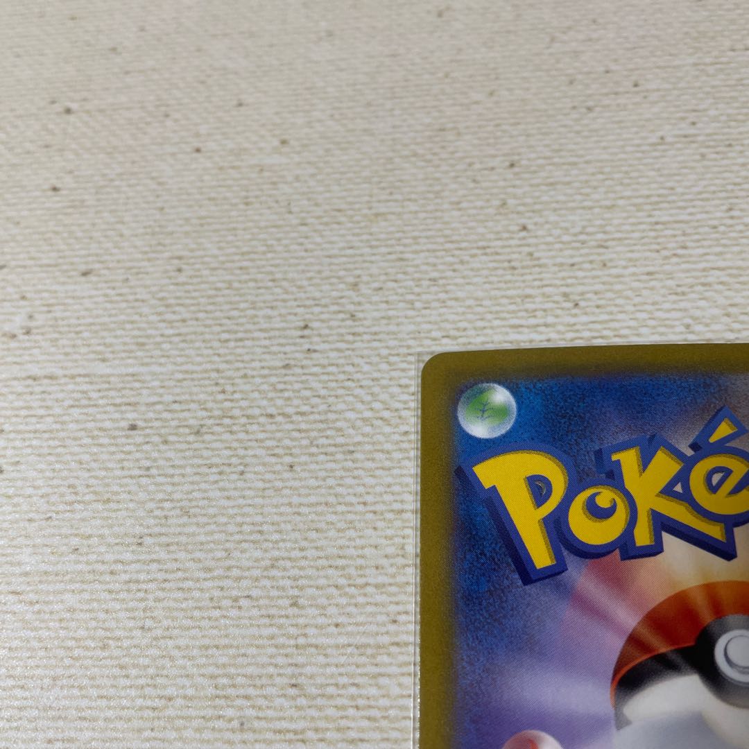 サポート トレーナーズ  ボスの指令  ゲーチス  SAR