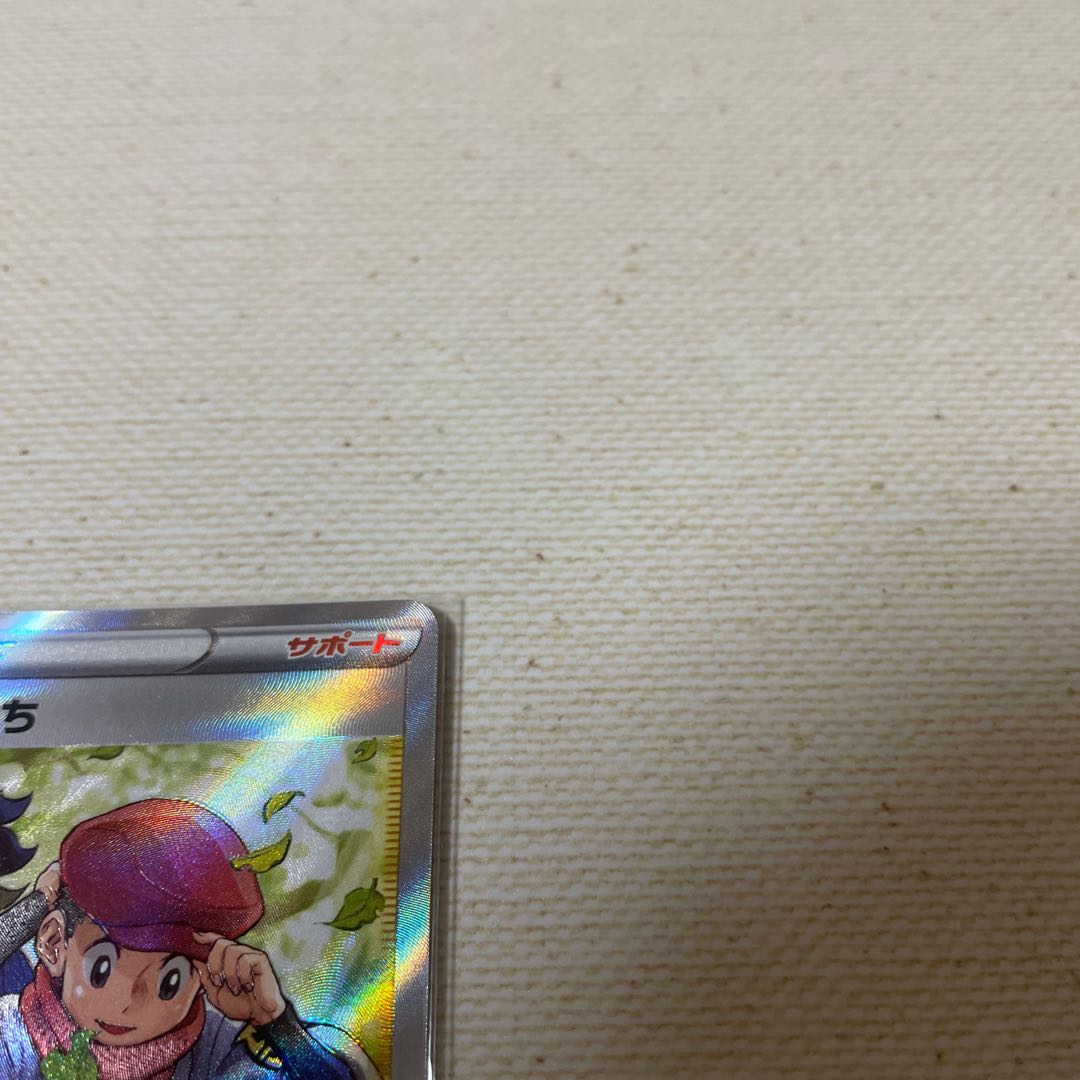 Trainer's Support Jade Companions SR