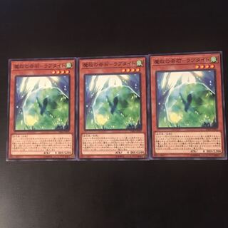 3 Raptite - a strange stone of magical salvation