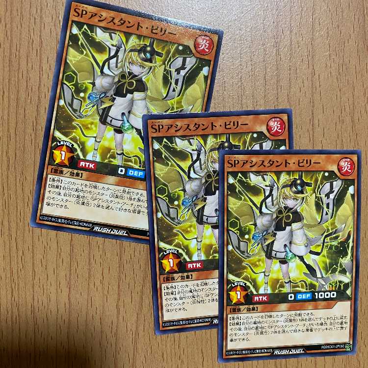 SPアシスタント・ビリー3枚