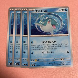 Namibian dolphin C 029/108