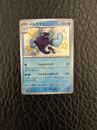 Dolphin Man S 229/190