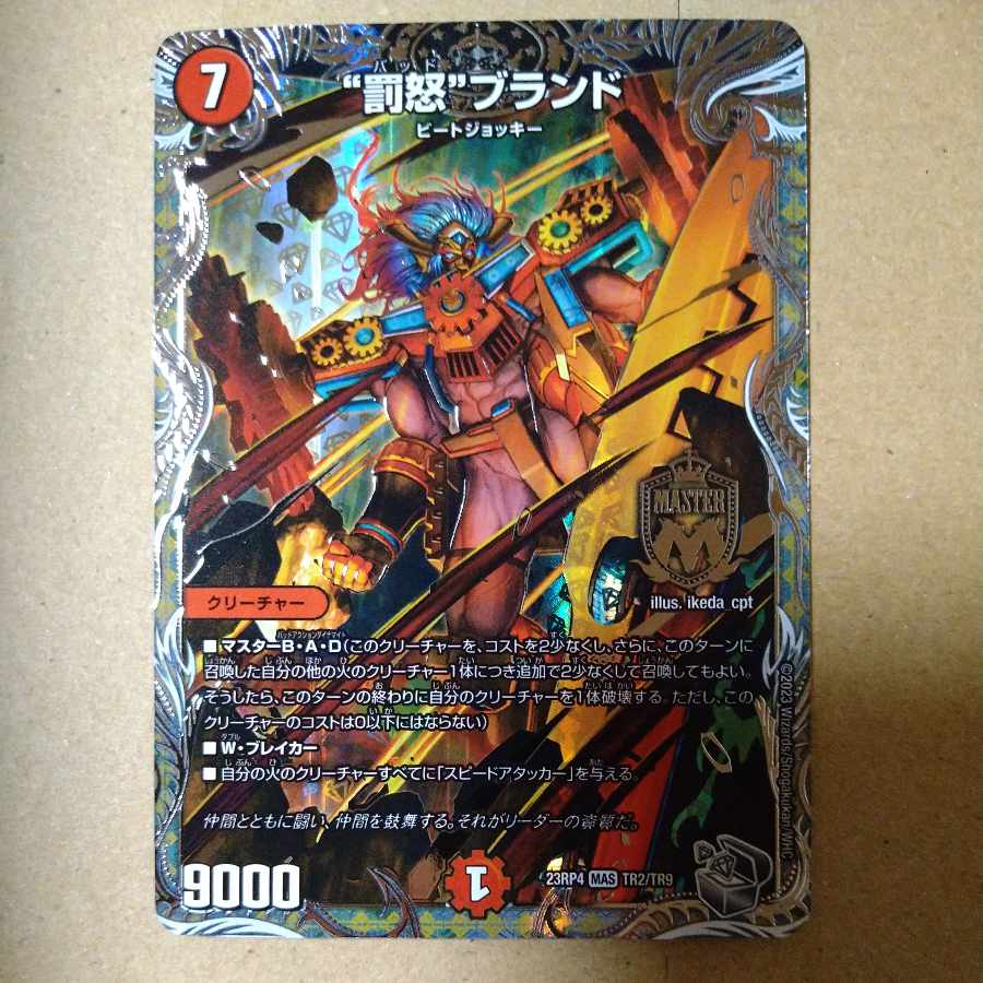 Punishment brand [DM23RP4 TR2/TR9].