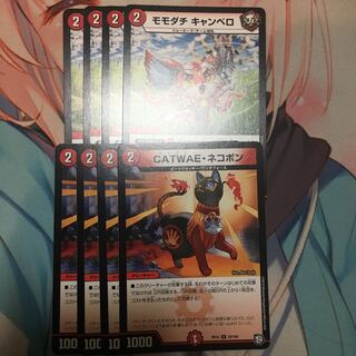 CATWAE・ネコボン モモダチ キャンベロ