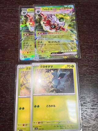 Forretressex RR 009/190