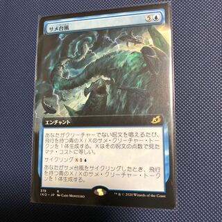 サメ台風　拡張