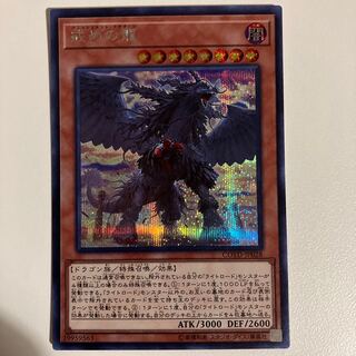Punishment Dragon Secret Rare JP028