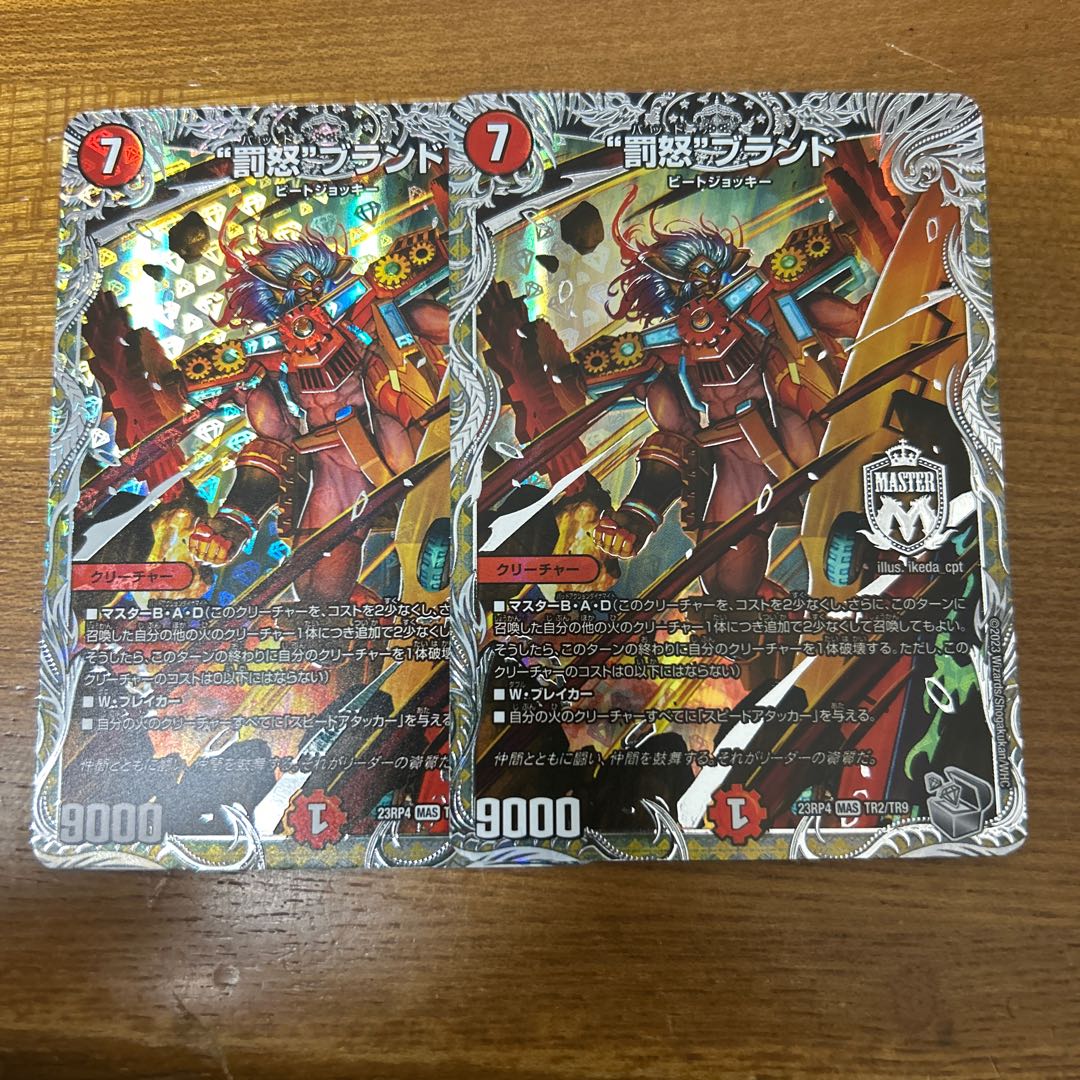 Punishment brand Silver Treasure