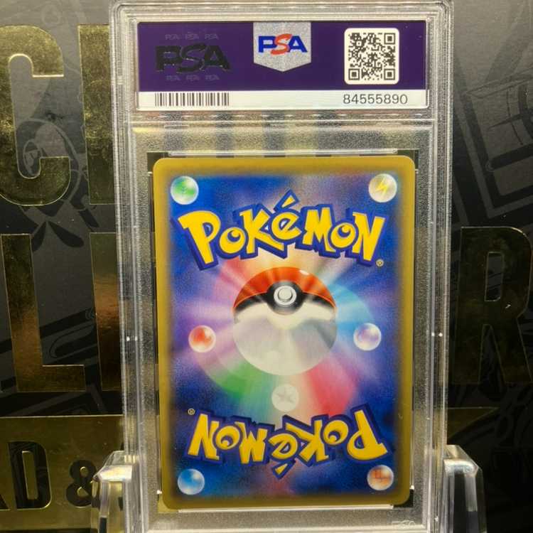 PSA10] Sightseer SR 192/173