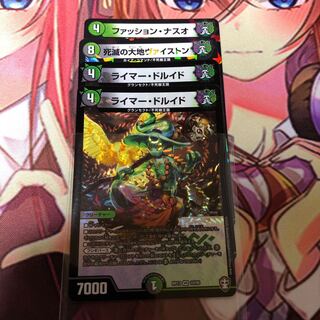 ライマードルイド2枚 +α