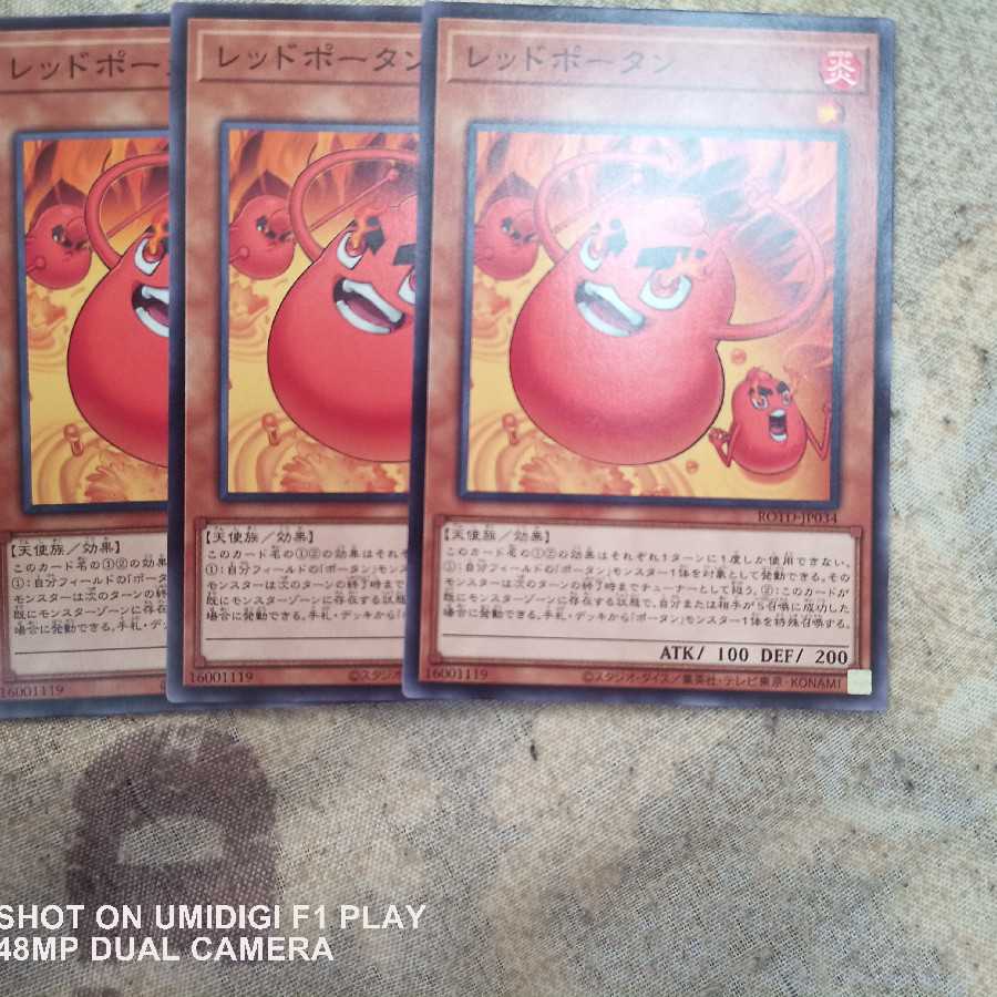 Rise of the Doue Squirrelto No Rare 5-card set.