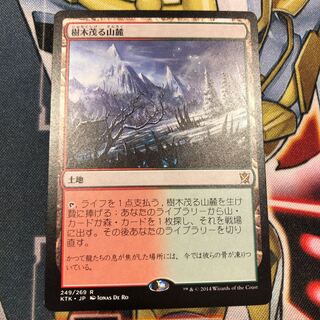 MTG 樹木茂る山麓
