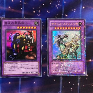 異星の最終戦士 SR ナチュルエクストリオ　UR