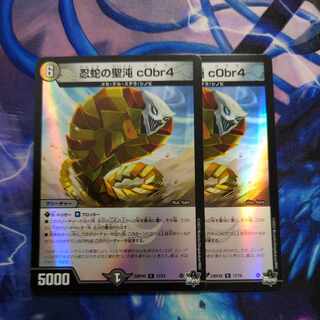 忍蛇の聖沌　c0br4 アドレナリン