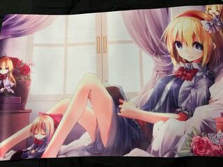 Touhou Project A Squirrel Murgatroid Play Mat