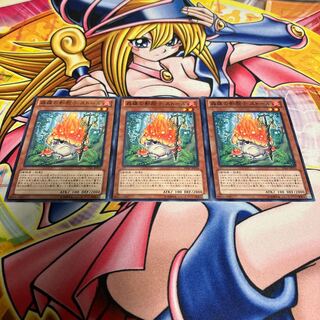 森羅の影胞子 ストール ノーマル JP016