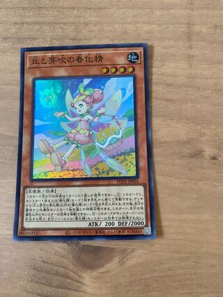 丘と芽吹の春化精 スーパーレア JP016