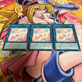 Ostinato Normal JP070