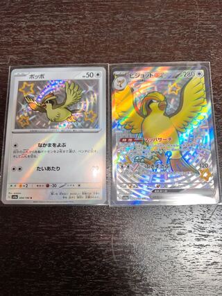 Pidgeotex SSR 335/190