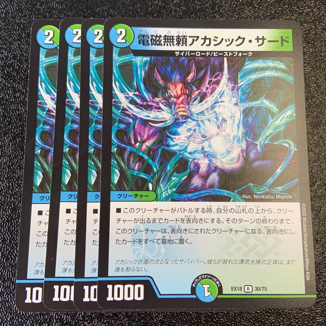 電磁無頼アカシック・サード R 30/75