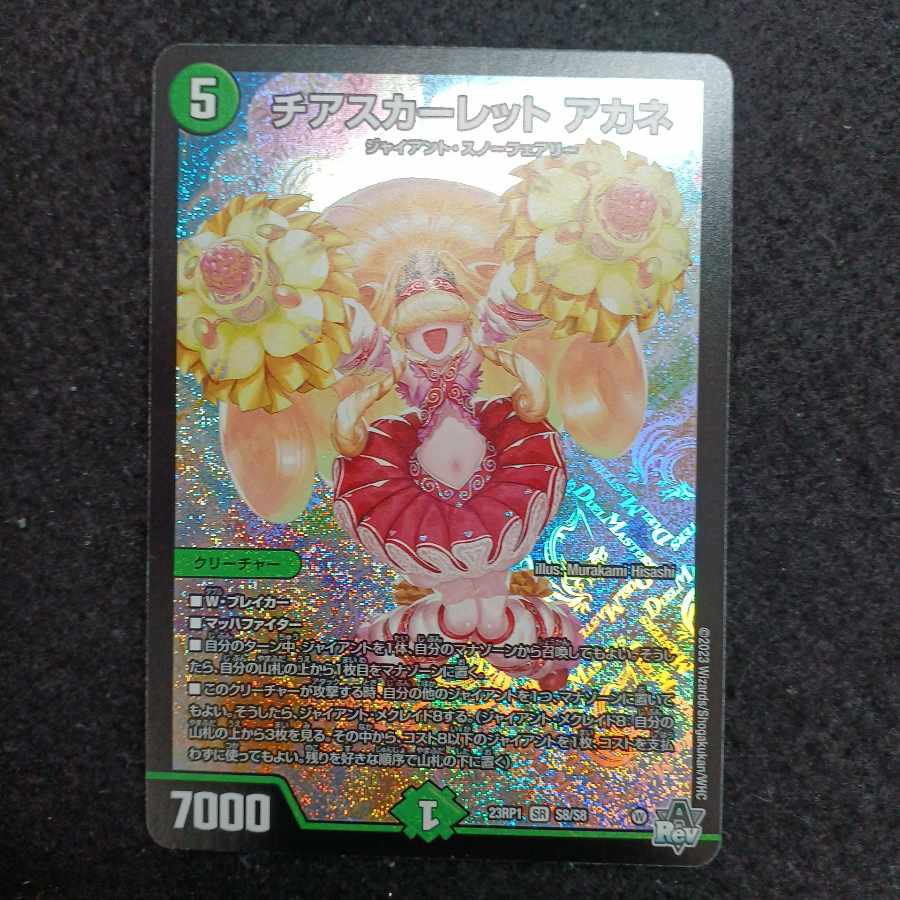 Cheer Scarlet Whitney SR S8/S8