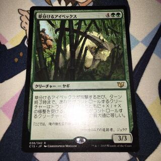 草分けるアイベックス　１枚