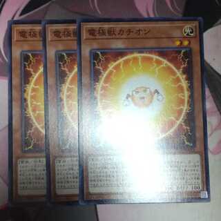 電極獣カチオン ノーマル 3枚
