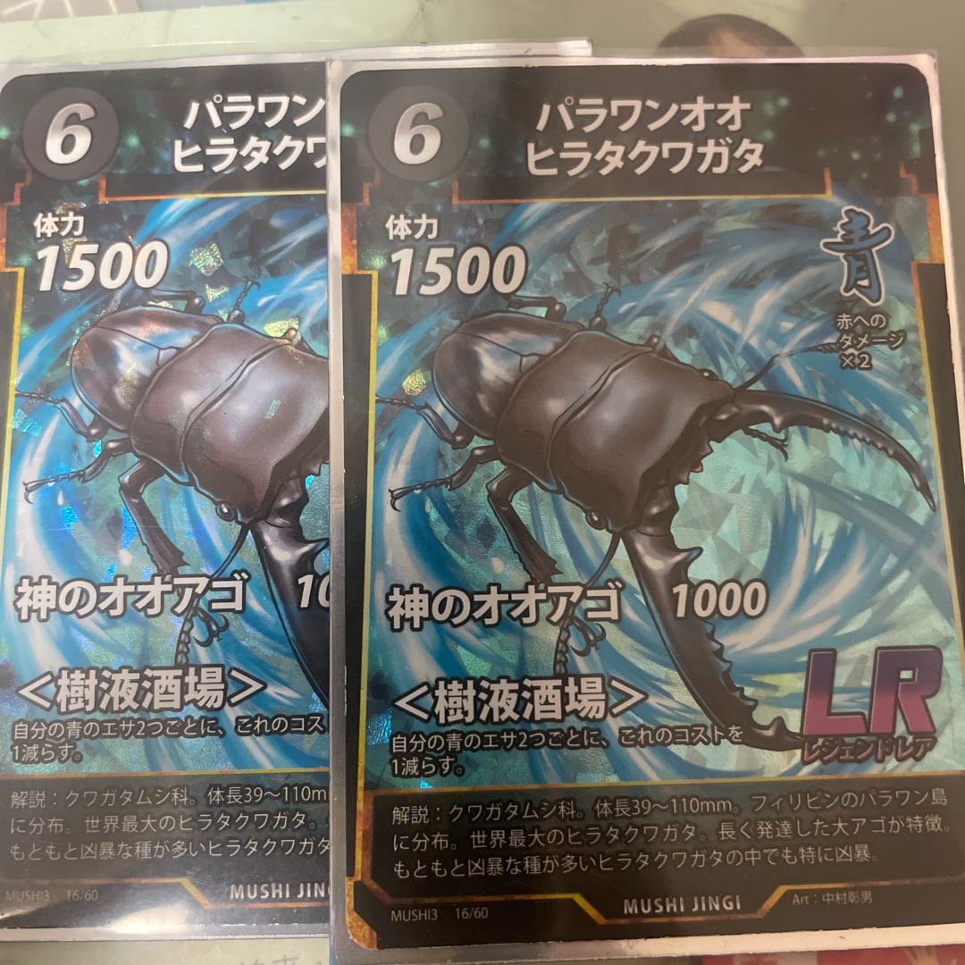 パラワンオオヒラタクワガタ