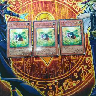 ナチュル・フライトフライ 1枚