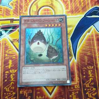 Naturia Bamboo Shoot 1枚