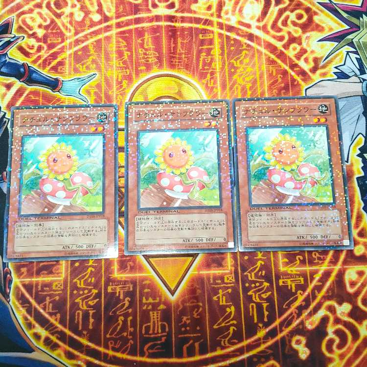 Naturia Sunflower 1枚