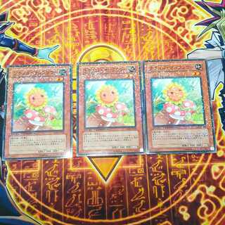 ナチュル・サンフラワー