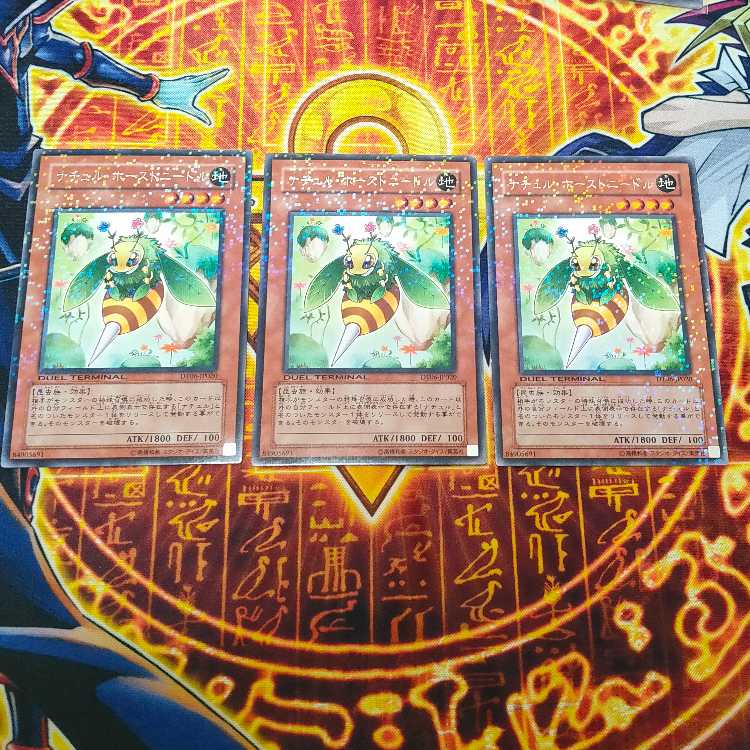 Naturia Horneedle 1枚