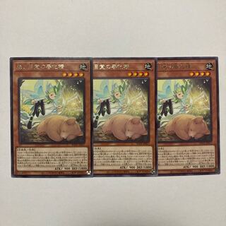 森と目覚の春化精 レア JP017