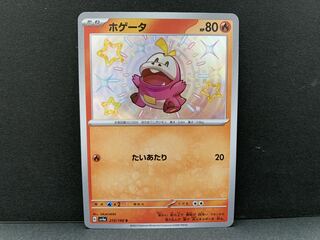 ホゲータ S 215/190 1枚