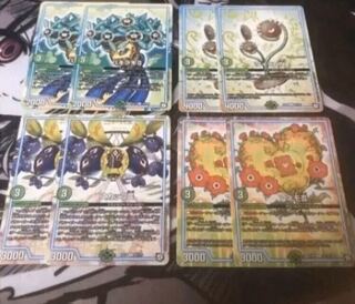 アネモⅢ ワイラビⅣ パキラキⅡ スカップⅢ 各2枚