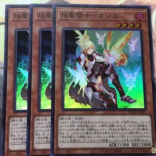 専用　フルルドリス　焔聖騎士　オジエ