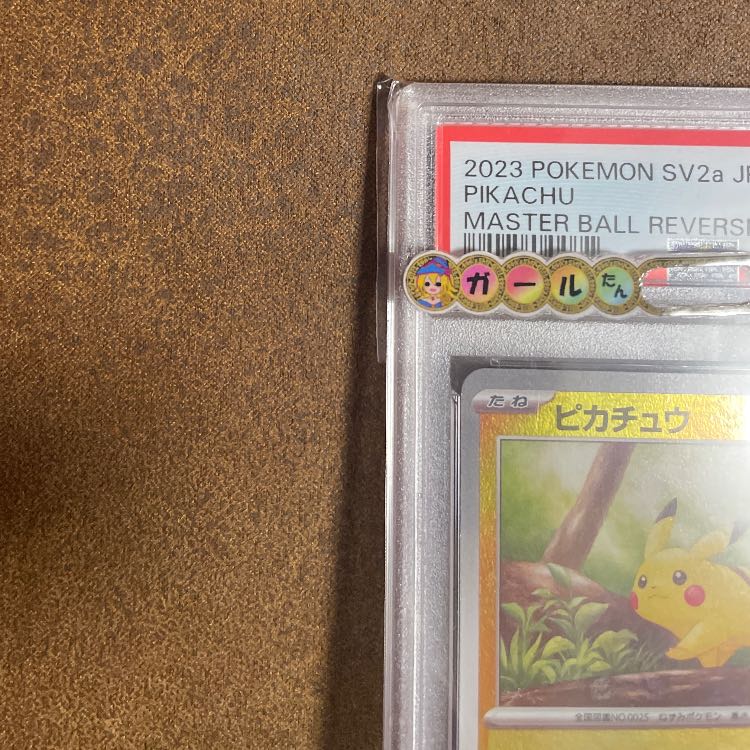 Master BallPikachuPSA10
