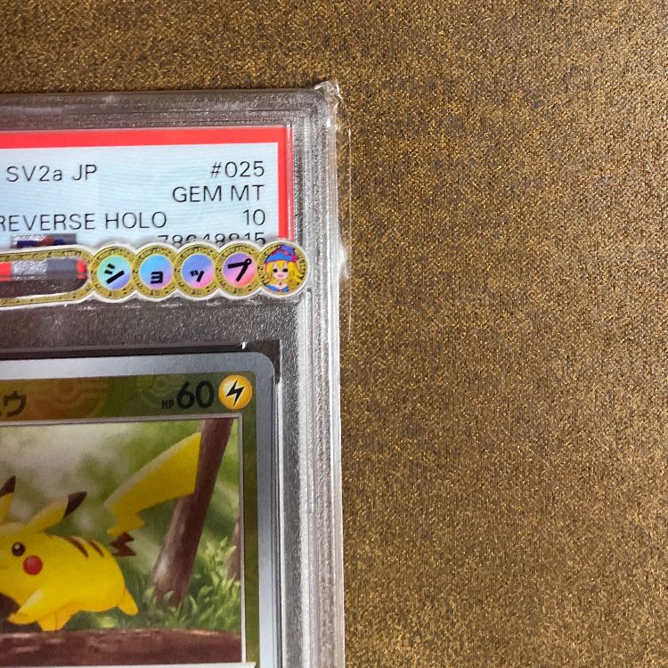 Master BallPikachuPSA10