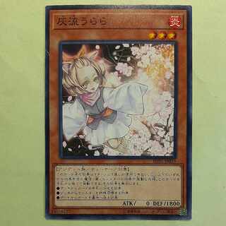 Ash Blossom & Joyous Spring Normal JP019