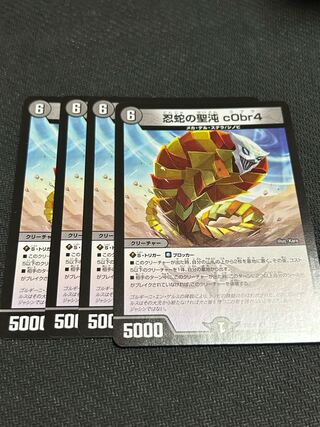 忍蛇の聖沌c0br4