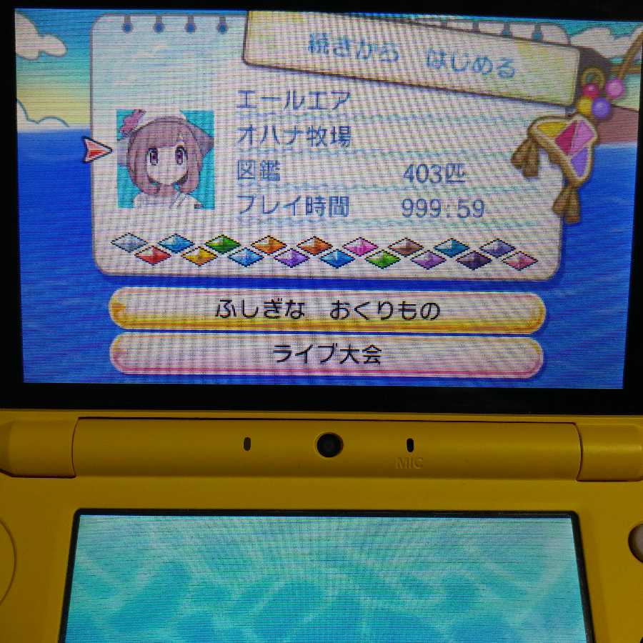 専用 ウルトラサン カチ厳選データ