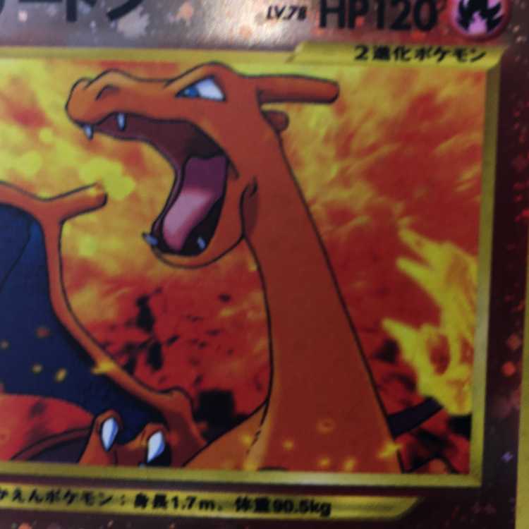 ポケモンカード リザードン 旧裏 プレミアム ファイル