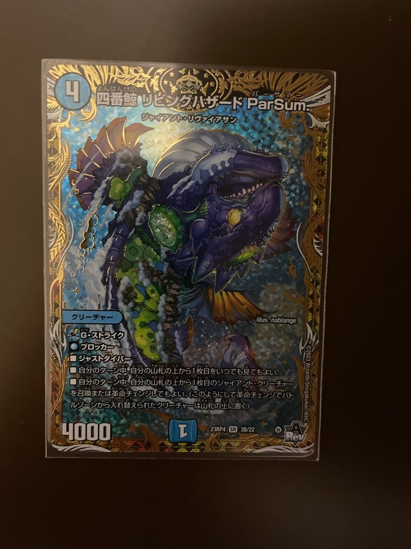 Fourth Whale Living Hazard ParSum. [SR] 23RP43B/22